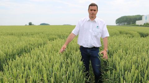 Christophe Prévot, directeur marketing céréales et protéagineux chez Florimond Desprez : « Unik et Pilier viennent d’être classées VRM, recommandées par la meunerie, et notre nouveauté Providence vient d’intégrer la liste VO des variétés en observation. » © B. CAILLIEZ